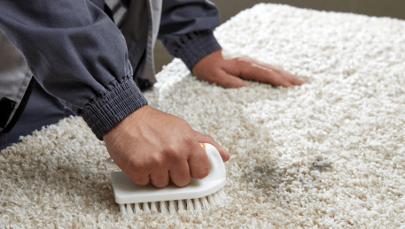 Professional Rug Cleaning Meadow Heights